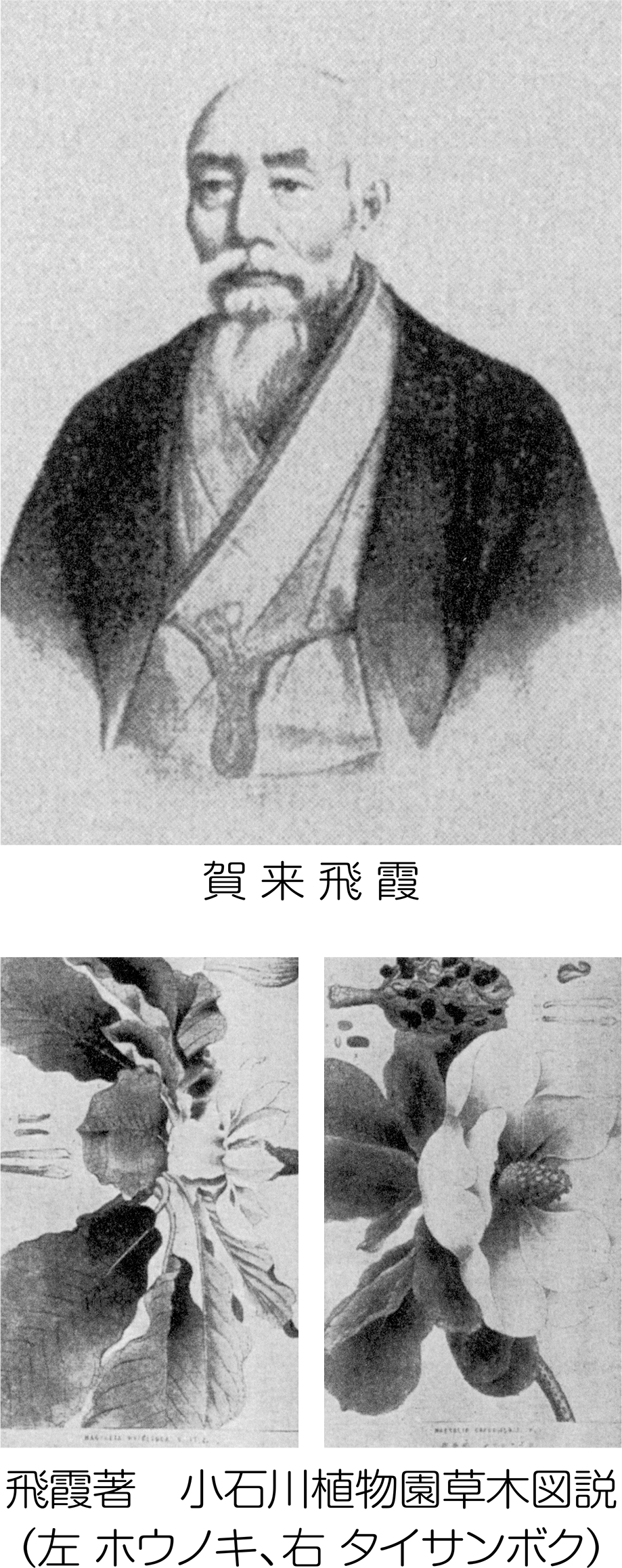 賀来医院の歴史1